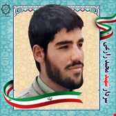 شهید مجید زارعی